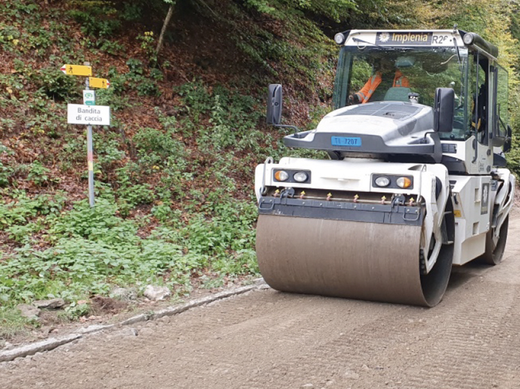 Sistemazione della strada forestale tra l'Alpe di Mendrisio e il Dosso dell'Ora e tra il bivio Cassinelli e la Muggiasca